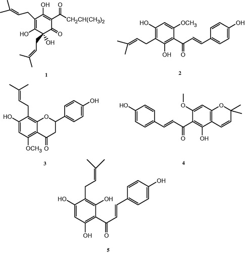 Figure 1. Molecular structures of some of the bioactive components of H. lupulus (1) humulone, (2) xanthohumol, (3) isoxanthohumol, (4) dehydroxanthohumol, (5) desmethylxanthohumol.