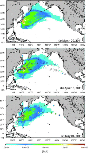 Figure 5 Horizontal distribution of sea surface 134Cs by simulation using the new source term on (a) March 20, (b) April 10, and (c) May 1, 2011. Colors of circles represent observed sea surface concentration of 134Cs at sampling points (b) from March 31 to April 18 and (c) from April 21 to May 17, 2011