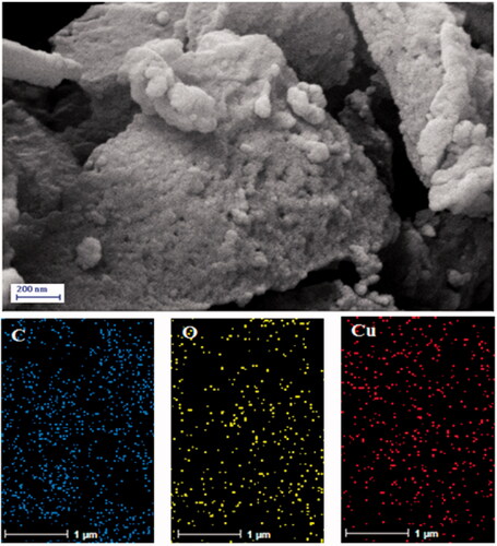 Figure 3. FESEM image of biosynthesized Cu NPs with its elemental mapping of C, O and Cu respectively.