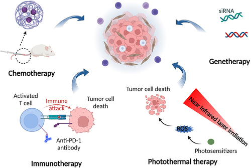 Figure 5 Nano drug delivery systems-mediated synergistic anticancer therapy based on SHK and other drugs including therapeutic genes, chemotherapeutic agents, immunotherapeutic drugs, and photosensitizers.
