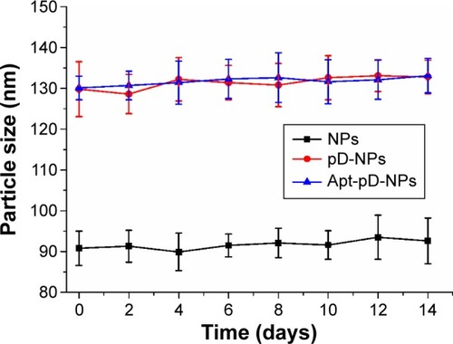 Figure 5 Stability of DTX-loaded NPs, DTX-loaded pD-NPs, and DTX-loaded Apt-pD-NPs in PBS, respectively, by monitoring particle size over a span of 2 weeks (n=3).Abbreviations: DTX, docetaxel; NPs, nanoparticles; pD, polydopamine; Apt, aptamer; PBS, phosphate-buffered saline.