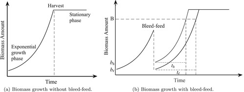 Figure 1. Long description. (a) A line graph displaying the biomass amount over time (when bleed-feed is not implemented). The x-axis represents the time and the y-axis denotes the biomass amount. The fermentation starts with a small amount of initial biomass. Next the biomass amount increases exponentially over time and then stays constant. Harvest time is indicated at the stationary phase. (b) A line graph displaying the biomass amount over time (when bleed–feed is implemented). The x-axis represents the time and the y-axis denotes the biomass amount. The biomass accumulates exponentially over time until bleed–feed is performed. The bleed–feed is performed instantaneously. Hence, the biomass amount immediately drops to a small value when bleed–feed is performed. The figure shows two examples to illustrate the biomass accumulation after bleed–feed, i.e. the starting biomass amount after bleed–feed is low in one example and high in the other. These two examples have the same cell growth rate. The example with a higher initial biomass reaches a certain biomass level sooner than the other one.
