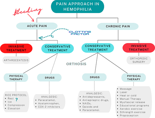 Figure 3 Multidisciplinary approach to pain in patients with hemophilia.