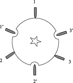 Figure 1. Puncture locations on apple equator. (1, 2, 3 - with skin; 1′, 2′, 3′ - without skin).