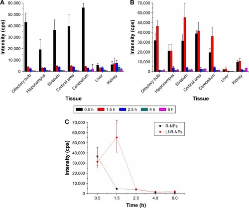 Figure 1 The rotigotine biodistribution in tissues determined by LESA-MS/MS.Notes: (A) Mean rotigotine signal (n=3) in tissues after intranasal R-NPs administration. (B) Mean rotigotine signal (n=3) in tissues after intranasal Lf-R-NPs administration. (C) Mean rotigotine signal (n=3) in striatum after intranasal R-NPs and Lf-R-NPs administration. *P<0.05 compared with R-NPs.Abbreviations: LESA-MS/MS, liquid extraction surface analysis coupled with tandem mass spectrometry; Lf-R-NPs, lactoferrin-modified rotigotine nanoparticles; R-NPs, rotigotine nanoparticles.