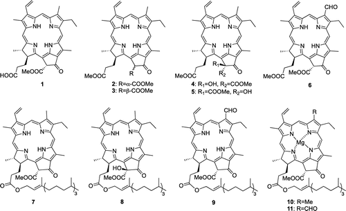 Fig. 2. Structures of inhibitors of CE accumulation from CC.