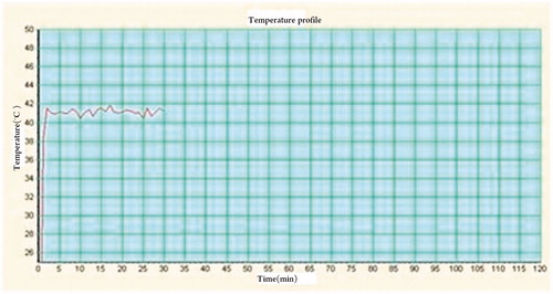 Figure 1. Temperature curve during thermotherapy at 41 °C.