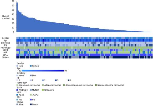 Figure 4 Summary of patients’ survival and the association between survival and clinical features including gender, age, smoking, PS, pathology, EGFR, NLR, and SDLL.