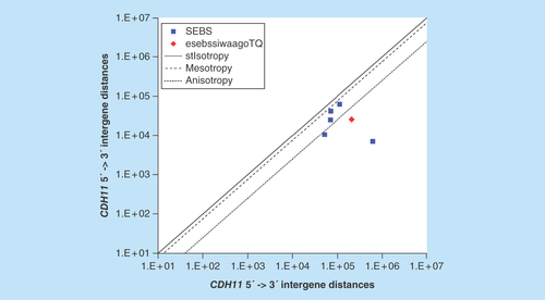 Figure 10.  >11,864 ≤265,005 gene base category, CDH11, sub-episode block sums (MSEBS; ASEBS) and the final episodic sub-episode block sums split-integrated weighted average-averaged gene overexpression tropy quotient (esebssiwaagoTQ) @ Episode 2.