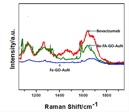 Figure 4. Raman spectra of free bevacizumab, FA-GO-AuN and Be-FA-GO-AuN.