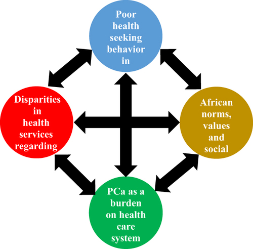 Figure 5 Integrated factors influencing PCa management in Africa. PCa disparities exist globally and within the African continent. This is influenced by various factors such as poor health seeking behaviour, socio-economic statuses, African norms and values.