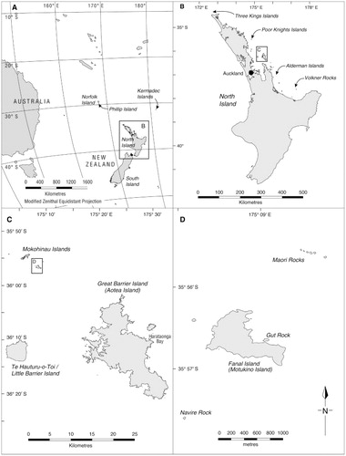 Figure 1 A, Location of Norfolk and Kermadec Islands in relation to New Zealand and also of other island groups discussed in the text; B, North Island showing location of key island groups utilised by grey ternlets; C, Mokohinau Islands Group and Great Barrier Island (Aotea Island) showing location of Harataonga Bay [Great Barrier Island (Aotea Island)]; D, Fanal Island (Motukino Island) showing location of Gut Rock and Maori Rocks.