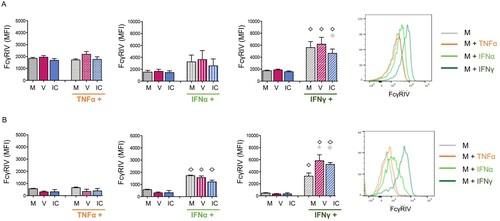 Figure 3. FcγRIV is upregulated by IFN stimulation on both neutrophils and monocytes cell surface. Neutrophils and monocytes were isolated from naive mice and stimulated as in Figure 2. FcγRIV expression was evaluated on neutrophils (A) and monocytes (B). V, free virions; IC, viral ICs; M, culture medium. The data represent 6 independent experiments for neutrophils (A) and 3 independent experiments for monocytes (B). Data are expressed as means +/- SEM. Diamonds indicate significant differences to the corresponding stimuli in the absence of cytokine stimulation (open diamond) or to corresponding medium without virus or IC stimuli (grey diamond) as determined by Kruskal-Wallis test with Dunn’s multiple comparisons post-tests (p < 0.05).