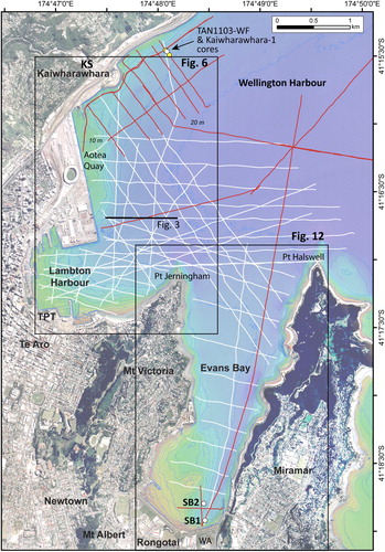 Figure 2. Boomer seismic lines acquired in the south western part of Wellington Harbour during IKA1012 (2010) and IKA1303 (2013) surveys. White lines show the extent of the IKA1303 survey, while the red lines indicate data collected during IKA1012 survey. The locations of the Kaiwharawhara-1 and Tangaroa TAN1103-WF sediment cores are shown by the white and yellow dots, respectively. Boreholes SB1 and SB2 in Evans Bay are shown by white dots. KS, Kaiwharawhara Stream; TPT, Te Papa Tongarewa (Museum of New Zealand), WA, Wellington Airport. Fine blue lines are 2 m bathymetric contours (m).
