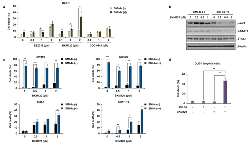 Figure 5. Combinational effect of SMI-4a and PIK3CA inhibitors on CRC cell lines. (a) DLD-1 (PIK3CA MT) cells were treated with the PIK3CA inhibitors BEZ235, BKM120, and GDC-0941 for 72 h, and cell death rates evaluated by trypan blue exclusion. (b) Western blot analysis after BKM120 and/or SMI-4a in DLD-1 cells treated with increasing doses of BKM120 and/or SMI-4a for 48 h and lysed with RIPA buffer. Lysates were subjected to western blot analysis and expression levels of p-Akt, p-STAT3, and STAT3 was anlalyzed. Beta-actin was used as a loading control. (c) HCT116 (PIK3CA MT), DLD-1 (PIK3CA MT), SW480 (PIK3CA WT), and SW620 (PIK3CA WT) CRC cell lines were treated with increasing doses of BKM120 and/or 30 μM SMI-4a for 72 h. Cell death rates were evaluated by trypan blue exclusion assay. (d) DLD-1 (PIK3CA MT) isogenic cell line (353) was treated with 2 μM of BKM120 and/or 30 μM SMI-4a for 72 h. Cell death rates were evaluated by trypan blue exclusion assay. *p < .05, **p < .01, and ***p < .001 indicate significantly different from control group, respectively. Experiments were conducted three times in triplicate.