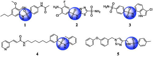 Figure 1. Chemical structures of anticancer sulphonamide derivatives.