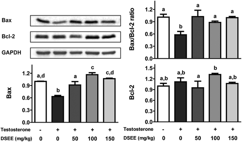 Figure 4. Donganme sorghum ethyl-acetate extract (DSEE) improved the ratio of Bax/Bcl-2 and the protein expression of Bax and Bcl-2 in the prostate tissue of rats treated with testosterone.Values represent mean ± SE. a, b, c and d indicate statistical differences from the groups labeled with different letters (p < 0.05).