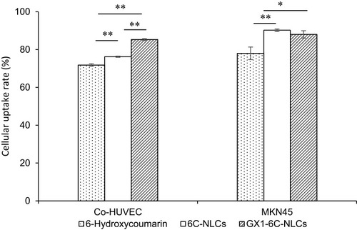 Figure 8 Cellular uptake of 6-Hydroxycoumarin, 6C-NLCs and GX1–6C-NLCs on MKN45 cells and Co-HUVEC cells for 3 hrs. Co-HUVEC cells had a higher uptake rate of GX1–6C-NLCs (n = 3, *P<0.05, **P<0.01).