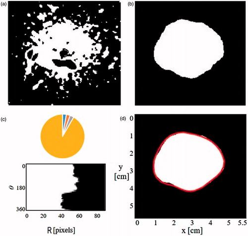 Figure 5. The main stages of the ISHU algorithm. (a) Binary complement image based on the threshold. (b) The main blob after applying CCL and median filter. (c) Image b in a polar presentation using 10 degrees sectors to determine the radius of each sector. (d) The estimated ablation contour. (Images a, b and d are 55 × 55 mmin size).