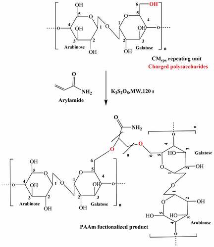 Figure 7. Schematic illustration of the mechanistic approach of monomeric units over to polysaccharide backbone through a radical mechanism.