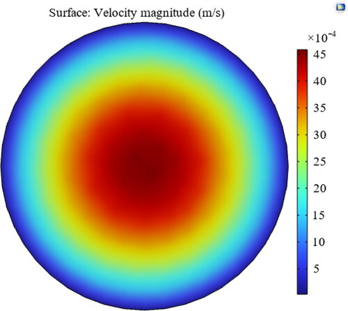 Figure 10. Velocity surface plot at 1 mm distance from the straight channel inlet.