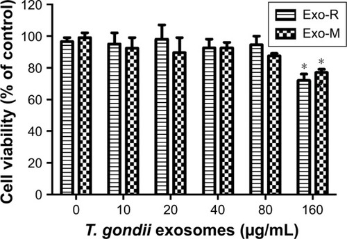 Figure 3 Effect of Toxoplasma gondii exosomes on the cell viability of macrophage RAW264.7 cells in vitro.Notes: RAW264.7 cells were cultured with Exo-R or Exo-M (0–160 μg/mL) for 24 h. Cell viability was determined by the CCK-8 assay. *p<0.05 compared with 0 μM exosomes. One of three experiments with similar results is shown.Abbreviations: Exo-R, exosomes from RH strain; Exo-M, exosomes from ME 49 strain; CCK-8, Cell Counting Kit.