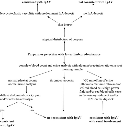 Figure 1 Diagnostic approach to IgAV and IgAVN. Data from Ozen et al.Citation35 Adapted from Jelusic M, Sestan M, Giani T, Cimaz R. New insights and challenges associated with IgA vasculitis and IgA vasculitis with nephritis-is it time to change the paradigm of the most common systemic vasculitis in childhood? Front Pediatr. 2022;10:853724. Creative commons.Citation36