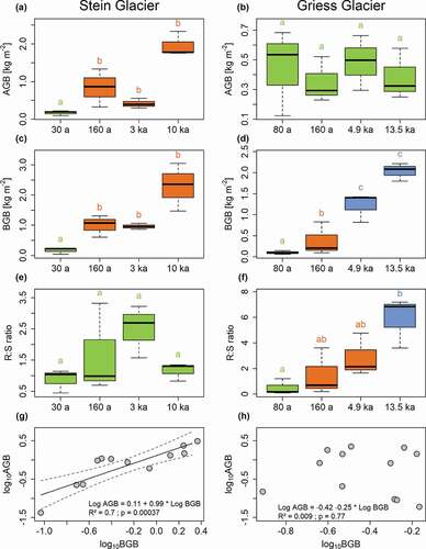 Figure 5. AGB, BGB, and R:S ratio across different moraines and the relationships between AGB and BGB of (a), (c), (e), (g) Stein Glacier and (b), (d), (f), (h) Griess Glacier forelands. A post hoc LSD test was conducted to compare biomass measures among the moraines. The significance level was adjusted according to the Bonferroni method. Superscript letters indicate significant differences.