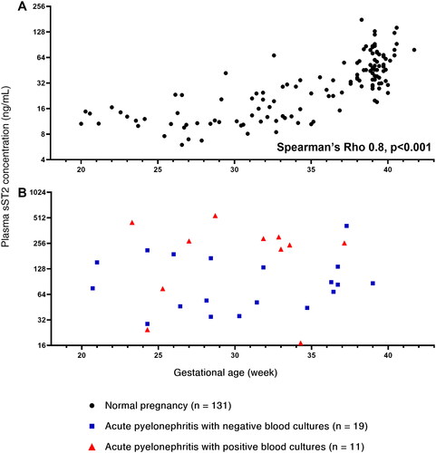 Figure 1. Scatterplot demonstrates increased sST2 concentrations among patients with acute pyelonephritis compared to patients with a normal pregnancy. The X axis shows gestational age (weeks), and the Y axis shows maternal plasma sST2 concentration (ng/mL). (A) In normal pregnancy, median maternal plasma sST2 concentrations increased with gestational age (Spearman’s Rho 0.8, p < .001). (B) Pregnancies complicated by pyelonephritis with negative blood culture alone (blue squares) are plotted against those with positive blood culture (red triangles).