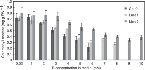 Figure 3. Chlorophyll contents of transgenic Arabidopsis thaliana overexpressing BOR4 under a range of boron (B) concentrations. Chlorophyll contents of the aerial portion of the plants were determined after grown in solid media containing 0.03, 1, 2, 3, 4, 5, 6, 7, 8, 9 and 10 mM boric acid for 18 days. Means ± SE are shown (n = 3–8). FW = Fresh weight. Values of Line 1 at 9 and 10 mM were not determined. Compared to the control condition, significant differences were found at 4 mM and more in Col-0, at 3 mM and more in Line1, and at 6 mM and more in Line 5 (p < 0.05, Student's t-test for comparison with the control condition of the same plant line). Significant differences from Col-0 plants were detected at 4 mM in Line 1, and 3 mM and over in Line 5 (p < 0.05, Student's t-test for comparison with Col-0 plants under the same condition).