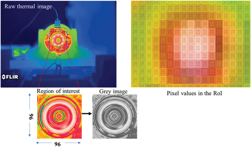 Figure 4. Extraction of thermal images.