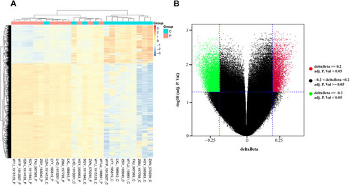 Figure 1 Differentially methylated CpG sites between breast cancer tissues and matched adjacent tissues. (A) Heat map showing a distinguishable methylated CpG sites between breast cancer tissues and matched adjacent tissues. (B) Volcano plot of the differentially methylated CpG sites. The red spots represented hypermethylated CpG sites, and the green spots represented hypomethylated CpG sites. An adj.p.value < 0.05 or |delta beta| ≥ 0.2 was set as criteria.