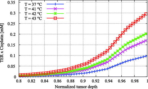Figure 8. Enhanced cisplatin distributions versus the normalized tumor depth for varying temperature. The enhanced cisplatin dose was calculated by multiplying the cisplatin concentration by the thermal enhancement ratio of the temperature level (Table 4). The enhancement of the treatment effectiveness due to elevated temperatures is now more apparent than in Figure 7(A), showing higher effective doses for higher temperatures.