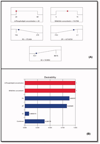 Figure 3. (A) Ramp graphs representing the optimized levels of the independent variables and the predicted responses for the optimized RLX-PL-MEL nanovesicles. (B) Desirability values for the predicted responses and overall desirability of the optimized RLX-PL-MEL nanovesicles. RLX: raloxifene; PL: phospholipid; MEL: melittin.