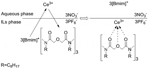 Figure 8. The proposed extraction process of L-[Bmim][PF6] system with Ce(III) at low nitric acid concentration.