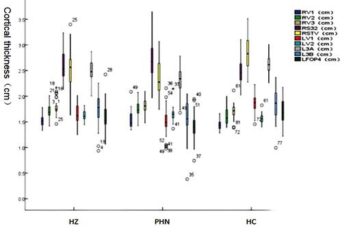 Figure 2 Significant differences in cortical thickness between PHN patients (n = 30) and HCs (n = 30).