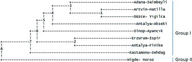 Figure 5. Genetic distance dendrogram of O. carpinifolia populations using UPGMA clustering method. The tree was constructed by using POPGENE v. 1.32.