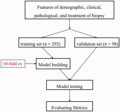 Figure 1. Process of establishing prediction models.