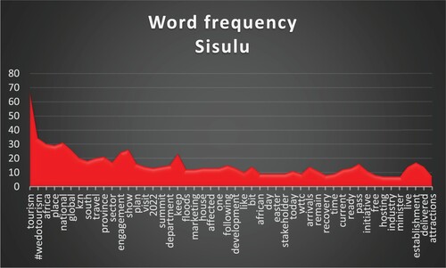 Figure 2. Most frequently used words in Sisulu’s 100 tweets.