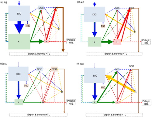 Fig. 5  Relative size of extant (using data available in the literature between the years 1990 and 2013) pools and fluxes at each of the Arctic Ocean regions: (a) Pacific-influenced shelves, (b) Atlantic-influenced shelves, (c) river-influenced shelves and (d) the central basins. The pools include dissolved inorganic carbon (DIC), dissolved organic carbon (DOC), particulate organic carbon (POC) and particulate inorganic carbon (PIC), with the area of these boxes representing by the relative concentrations in µmol kg−1 (except for PIC, where no data are available) and autotrophs (A), heterotrophs (H) and bacteria (B), with the size of these boxes representing the relative biomass in g C m−2. Solid lines indicate fluxes for which there are data available, and are relative sizes in mg C m−2 d−1, except for the atmospheric CO2 flux which is provided in Tg C y−1. Dashed lines indicate fluxes where data are unavailable. Higher trophic level is abbreviated to HTL.