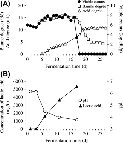 Fig. 2. Fermentation properties of yamahai-moto.