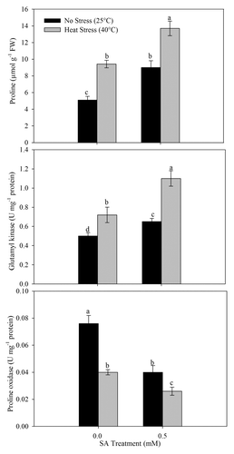 Figure 1. Proline content, γ-glutamyl kinase activity, and proline oxidase activity in wheat (Triticum aestivum L.) cv WH 711 at 30 DAS. Plants were grown with/without heat stress and treated with foliar 0.5 mM SA at 15 DAS. Data are presented as treatments mean ± SE (n = 4). Data followed by same letter are not significantly different by LSD test at p < 0.05. FW; fresh weight.