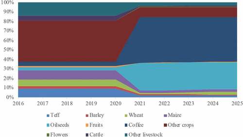 Figure 1. Sectoral allocation of government investment in agriculture under the assumption that Ethiopian policymakers assign equal weights to all policy objectives (%). Source: Authors’ calculations.