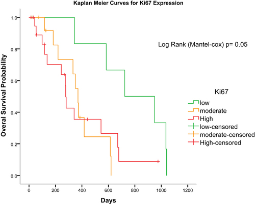 Figure 10 Kaplan-Meier survival analysis demonstrating low Ki67 expression glioma. Patients (green Line) had a longer overall survival but not significantly (p = 0.05; Log rank test).