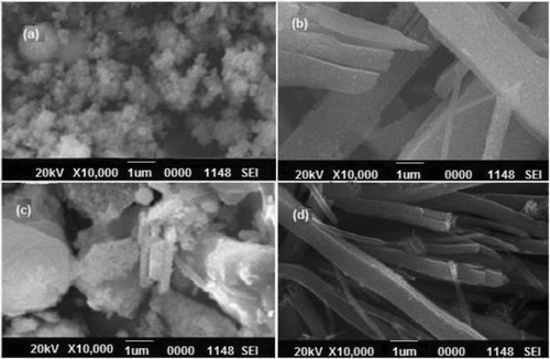 Figure 3 SEM images of chelate polymer compounds (a) Mn (II), (b) Co (II), (c) Ni (II) and (d) Cu (II)