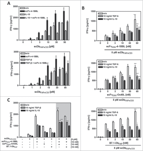 Figure 3. Effect of exogenous IL-10 and TGF-β on PBMC stimulation by fusion protein combinations in the HT1080-FAP/PBMC co-culture. HT1080-FAP cells were co-cultured with PBMCs +/− 10 µg/ml recombinant IL-10 or TGF-β in presence of (A) bispecific antibody titrated +/− 10 nM scFv-4–1BBL, (B) 5 pM bispecific antibody +/− costimulatory fusion protein titrated and (C) 5 pM bispecific antibody +/− 10 nM costimulatory fusion protein single or combined. After 48 h, IFN-γ concentration in the supernatant was measured in ELISA. Graphics show mean ± SD, n = 3. *, P < 0.05; **, P < 0.01; ***, P < 0.001. Statistic comparison refers to the corresponding effect of the scDb alone. Gray background points out the combination of 2 costimulatory fusion proteins.