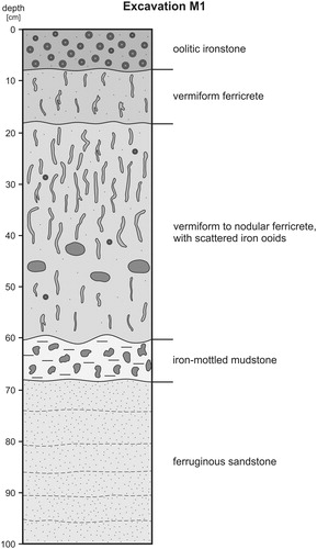 Figure 11. Geological section showing the irregular contact of oolitic ironstone and ferricrete in the principal section of the mining area MMA 1 (image created by Robert Bussert).