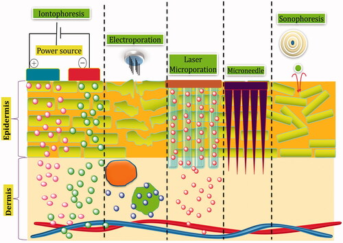 Figure 1. Physical techniques of transdermal drug delivery.