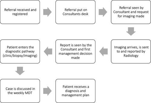 Figure 1 A depiction of the referral process in 2015 before the introduction of the DMDT; illustrating the steps taken to appropriately triage the referral before making the first management decision.