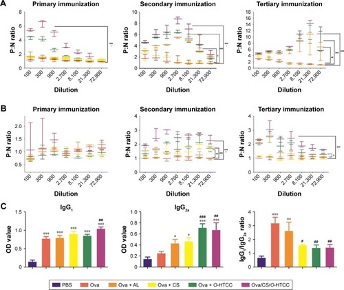 Figure 8 Humoral immunoresponse of immunized mice.Notes: (A) Relative expression of IgG in serum; (B) relative expression of IgA in serum; (C) expression of subtype antibodies in serum. *P<0.05, **P<0.01, ***P<0.001 compared to PBS control; #P<0.05, ##P<0.01, ###P<0.001 compared to Ova control; !P<0.05, !!P<0.01 compared to Ova + AL control (n=8).Abbreviations: CS, curdlan sulfate; O-HTCC, O-(2-hydroxyl)propyl-3-trimethyl ammonium chitosan chloride; Ova, ovalbumin; AL, Alhydrogel.